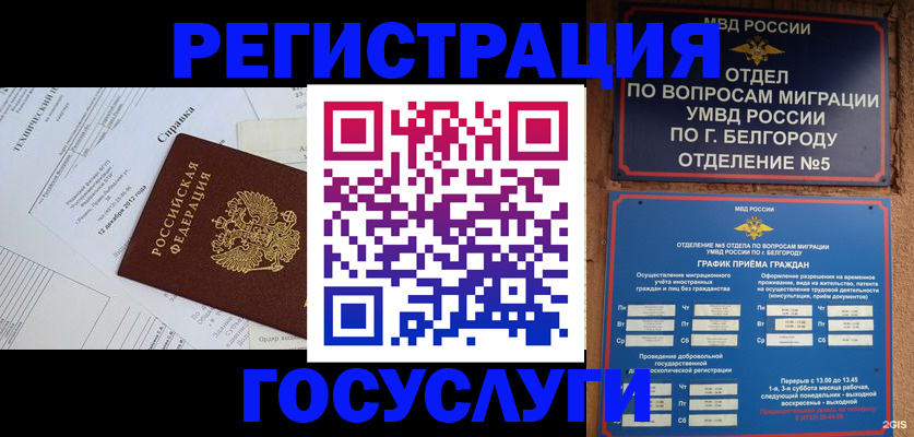 временная прописка в Пионерском